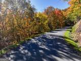 LOT 46 Utana Bluffs Trail - Photo 11