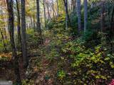 LOT 46 Utana Bluffs Trail - Photo 19