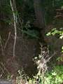 442 Bethany Road - Photo 48