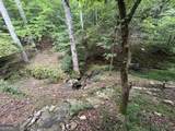 1543 Tipton Springs Road - Photo 21