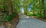 140 Tranquility Drive - Photo 49