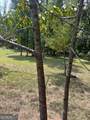 1402 Dewey Street - Photo 27