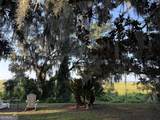 809 Fort King George Drive - Photo 19
