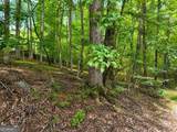 6195 Belle Meade Drive - Photo 2