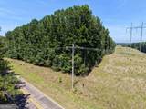 277 Pettigrew Road - Photo 23