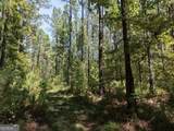 277 Pettigrew Road - Photo 32