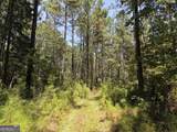277 Pettigrew Road - Photo 34