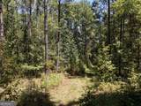 277 Pettigrew Road - Photo 36