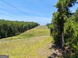 277 Pettigrew Road - Photo 42