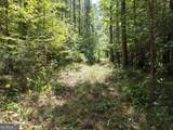 277 Pettigrew Road - Photo 46