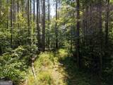277 Pettigrew Road - Photo 47