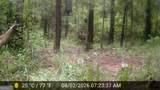 277 Pettigrew Road - Photo 53