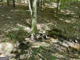 277 Pettigrew Road - Photo 77