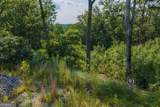 LOT 93 Timberline Trail - Photo 8