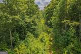 LOT 166 Pinnacle Drive - Photo 19