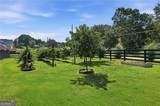 3420 Old Oaks Road - Photo 55
