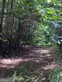 0 Seven Springs - Photo 11