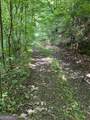 0 Seven Springs - Photo 13