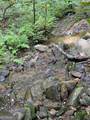 0 Seven Springs - Photo 4