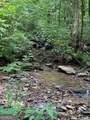 0 Seven Springs - Photo 5