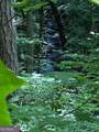 0 Seven Springs - Photo 7