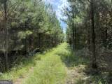 MERCER TRACT New Hopewell Church Road - Photo 10