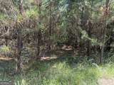 MERCER TRACT New Hopewell Church Road - Photo 20