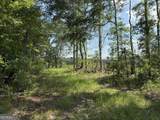 MERCER TRACT New Hopewell Church Road - Photo 21
