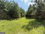 MERCER TRACT New Hopewell Church Road - Photo 27