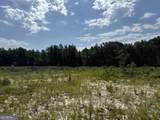 MERCER TRACT New Hopewell Church Road - Photo 29