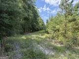 MERCER TRACT New Hopewell Church Road - Photo 30