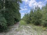 MERCER TRACT New Hopewell Church Road - Photo 31