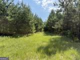 MERCER TRACT New Hopewell Church Road - Photo 6