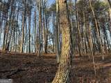 260 Arnold Road - Photo 35