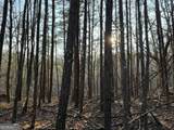260 Arnold Road - Photo 46