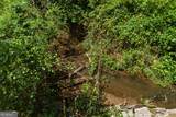 3120 Highway 229 - Photo 7