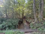 505 Hank Fry Road - Photo 6