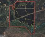 180.14 AC Johnson Mill Road - Photo 1