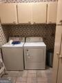 290 Bear Cave Trail - Photo 18