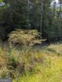 111 Stewart Avenue - Photo 14