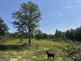 39.317 Ronnie Road - Photo 10