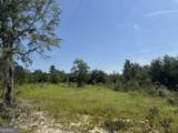 39.317 Ronnie Road - Photo 7