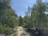 39.317 Ronnie Road - Photo 9