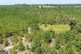 19.521 AC Herman Bell Road - Photo 3