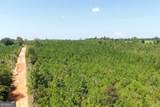 19.521 AC Herman Bell Road - Photo 5