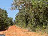 19.521 AC Herman Bell Road - Photo 6
