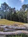 245 Brad St - Photo 6
