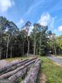 245 Brad St - Photo 8