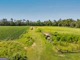 301 Jerry Sutton Road - Photo 11
