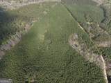 13 Hollis Norman Road - Photo 6